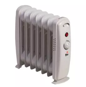 FM RW-MINI 900