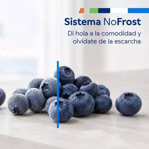 miniproducto