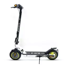 Smartgyro SG27-393 Z-One Gris
