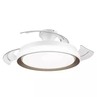 Philips BLISS 2024 DC
