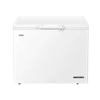 Haier HCE301E