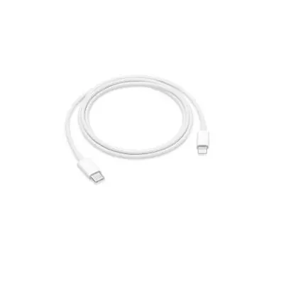 Apple 1.00 m White