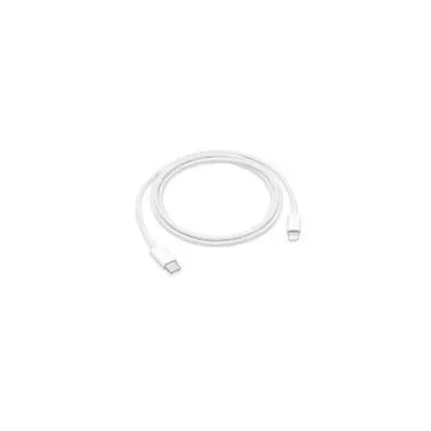Apple USB-C to Lightning Cable (1m)