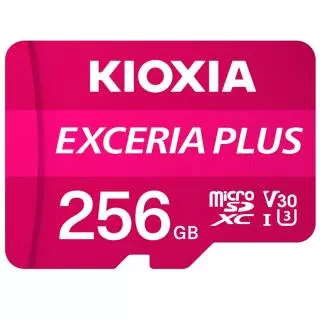 KIOXIA LMPL1M256GG2
