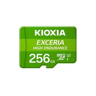 KIOXIA LMHE1G256GG2