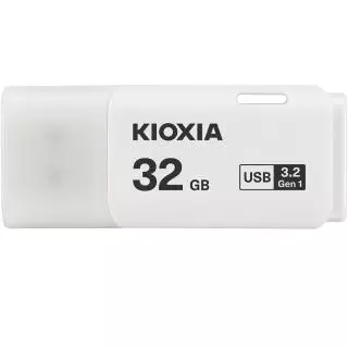 KIOXIA LU301W032GG4