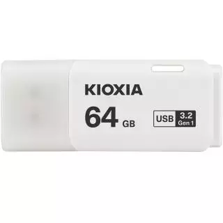 KIOXIA LU301W064GG4