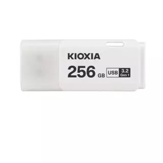 KIOXIA LU301W256GG4