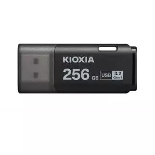 KIOXIA LU301K256GG4
