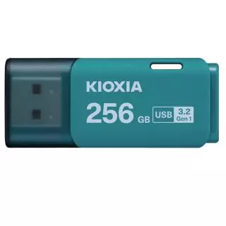 KIOXIA LU301L256GG4