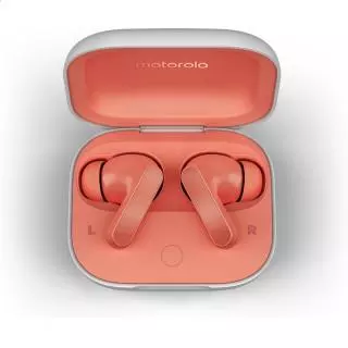 Motorola MOTO BUDS PINK