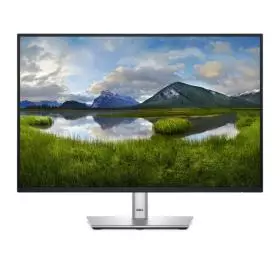 DELL PROFESIONAL P2425E
