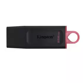 KingstonTechnology DTX/256GB