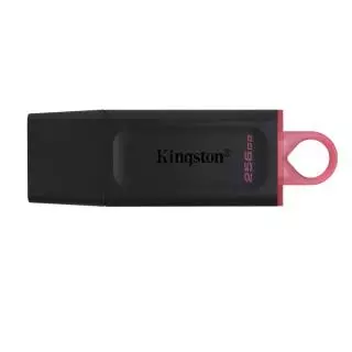 KingstonTechnology DTX/256GB