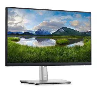 DELL DELL-P2225H