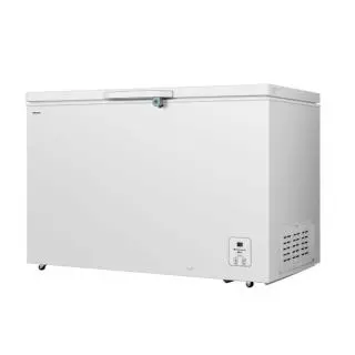 Hisense FT484D4AWLYD
