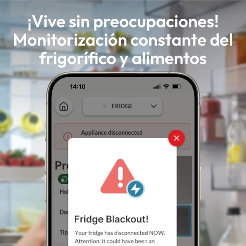 miniproducto