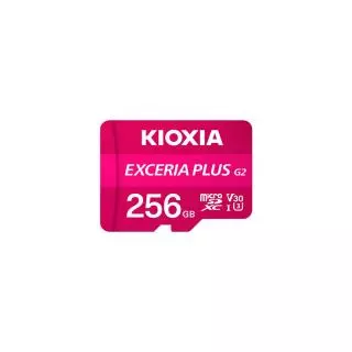 KIOXIA LMPL2M256GG2