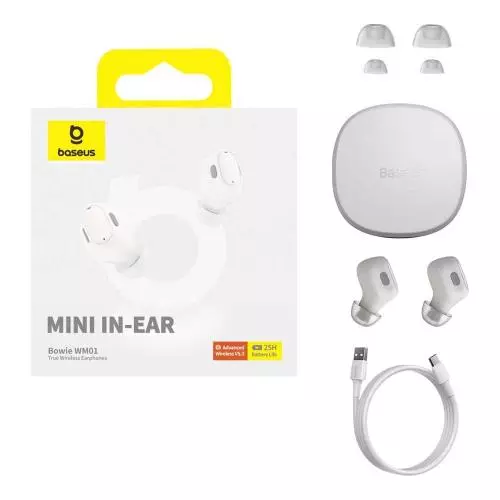 miniproducto