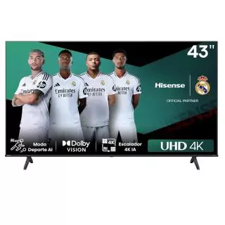 Hisense 443E6NT 43