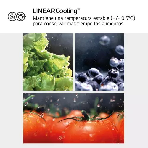 miniproducto