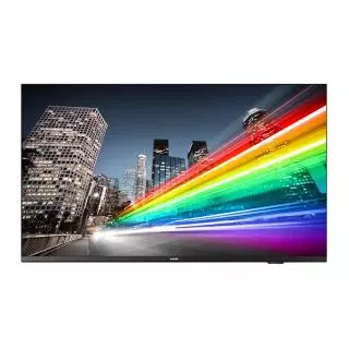 Philips B-LINE 555BFL2214/12 55"