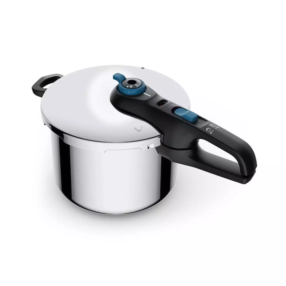 Tefal P2580701 6L