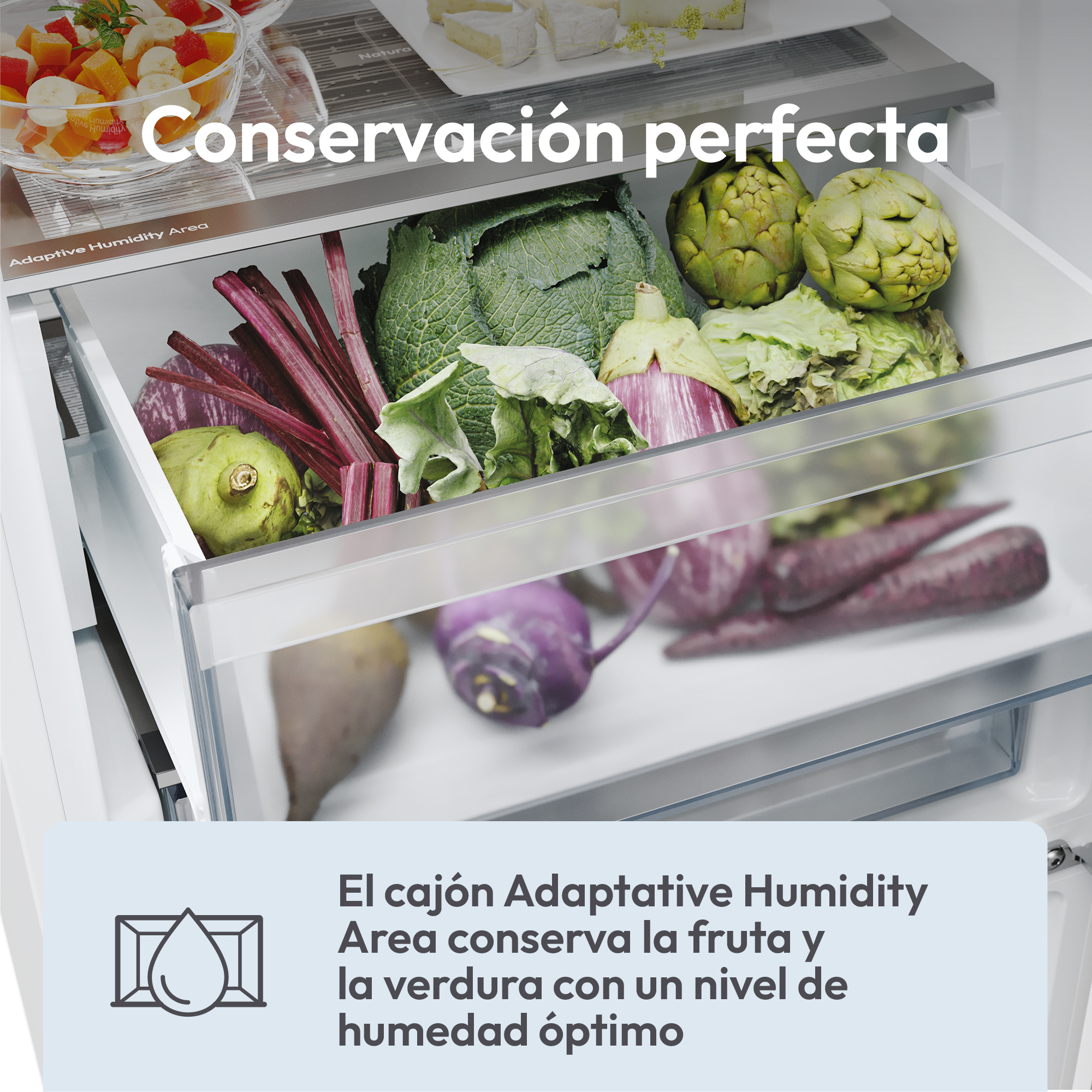 Candy ECN4CQTEW186 - Frigorífico combi