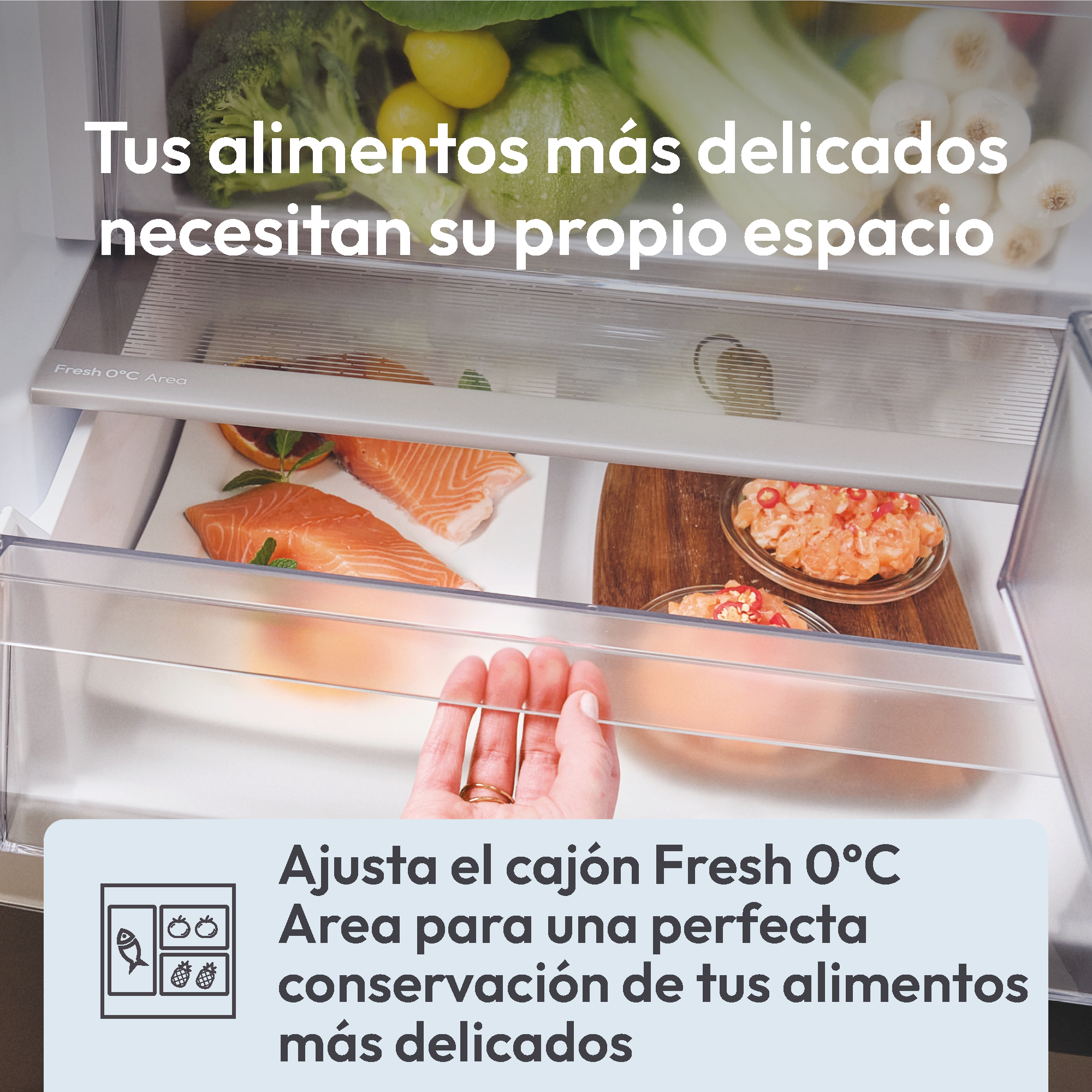 Candy ECN4CQTEW186 - Frigorífico combi