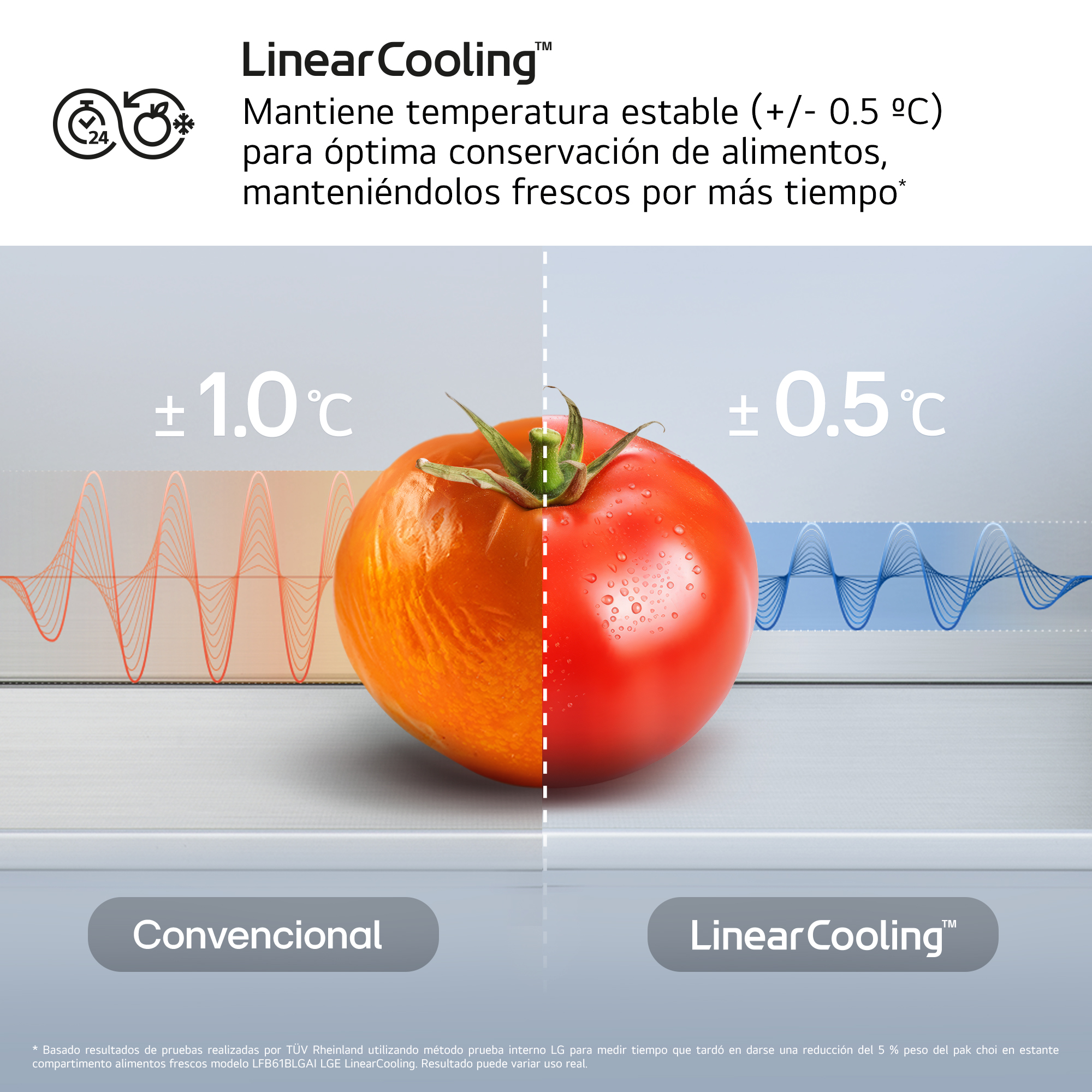 LG GBBSJ21DPY - Frigorífico combi